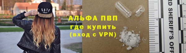твердый Абаза