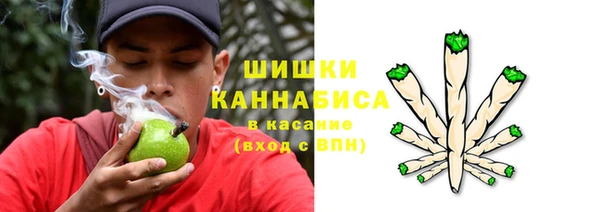 крисы Абдулино