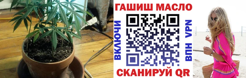 блэк спрут зеркало  Почеп  ТГК Wax  магазин   