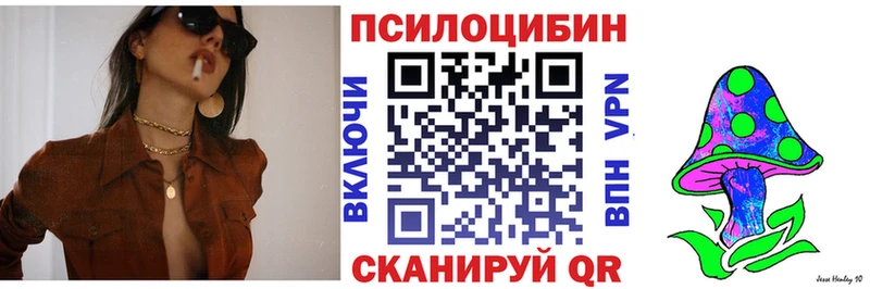 mega ТОР  площадка какой сайт  Галлюциногенные грибы Cubensis  Почеп 